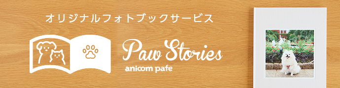 Photobook 20260209 01